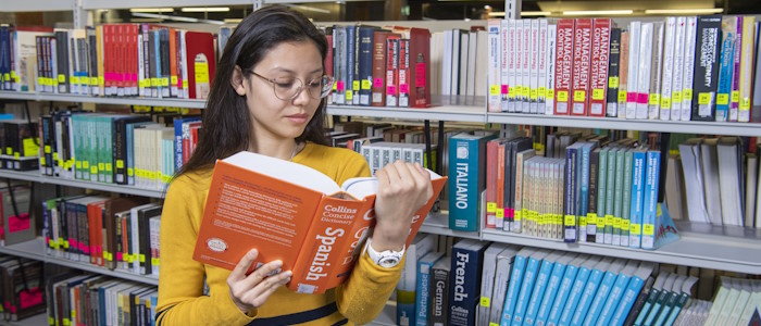 Spanish students studying